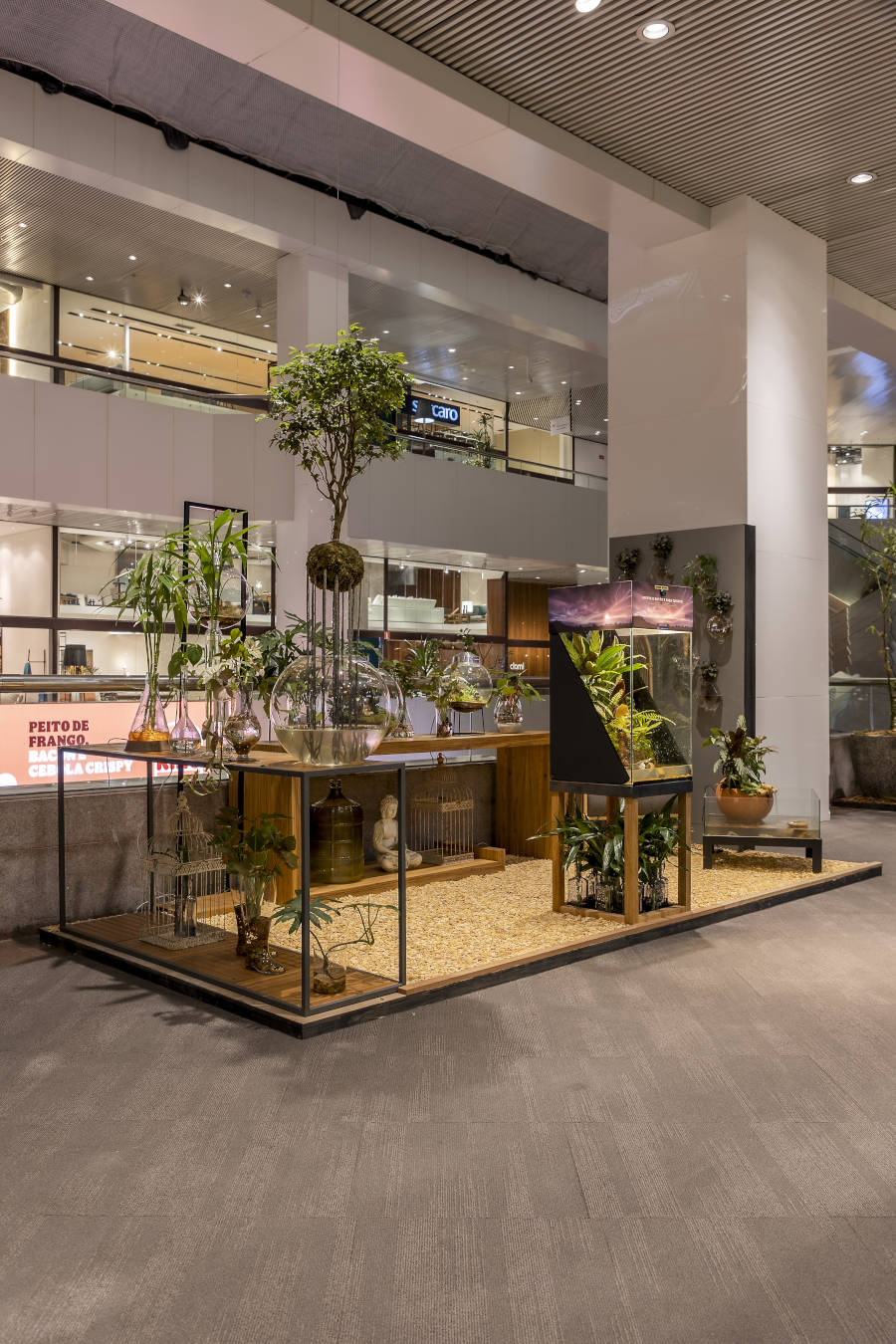 Garden with plants in glass vases.