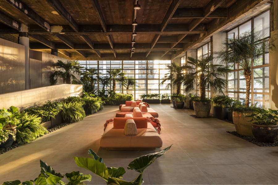 Common space with sofas and plants.