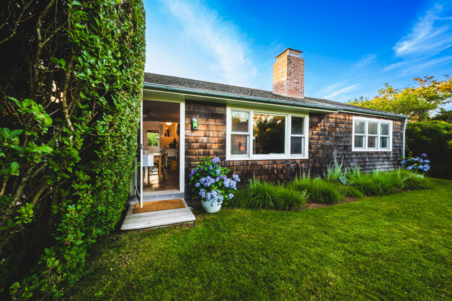 Outdoor area with lawn and flower pots.