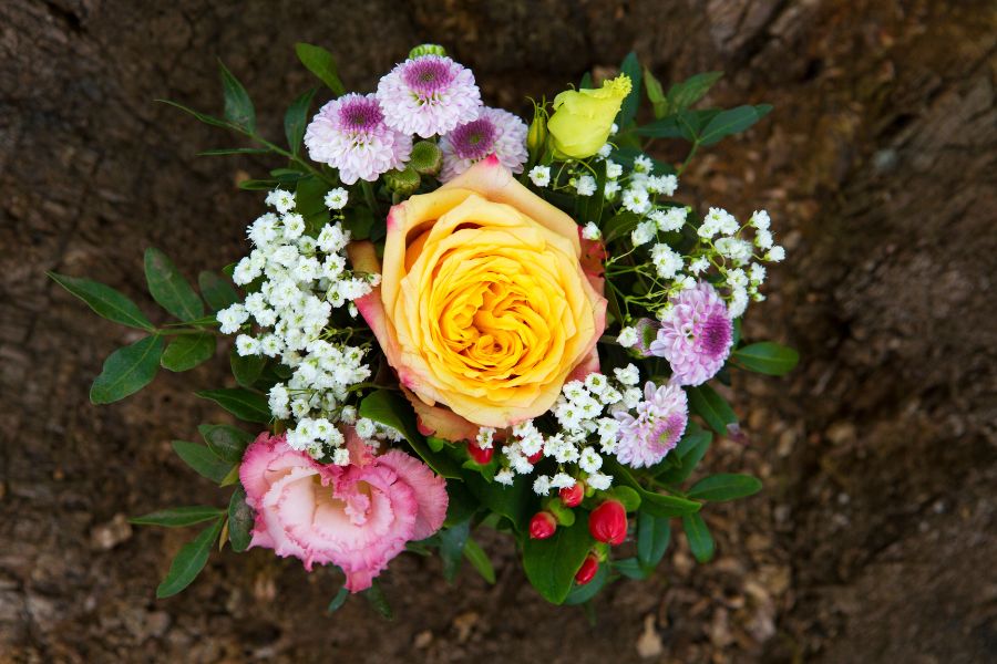 arrangement of colorful flowers and green foliage seen from above