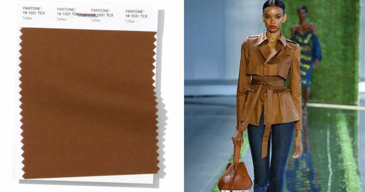 Toffee Brown is one of Pantone's 2019 trends