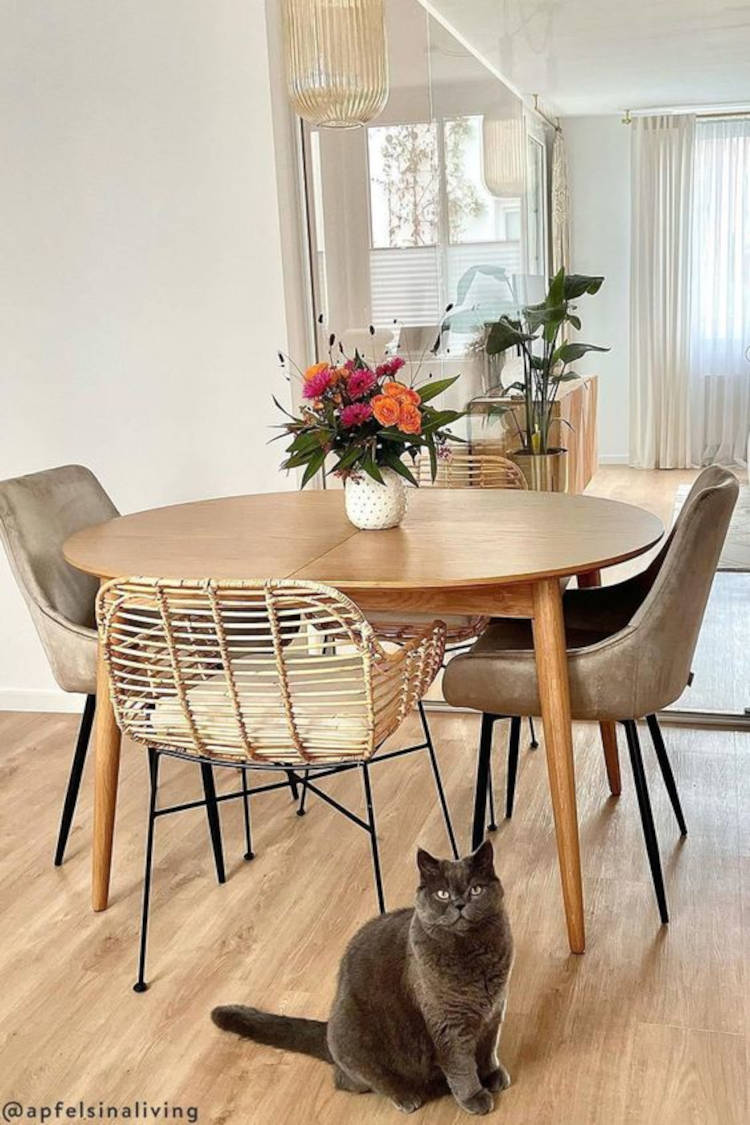 Table with different chairs.