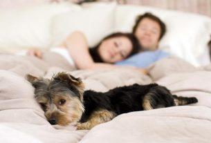 Is it bad to sleep with a pet in the bed?