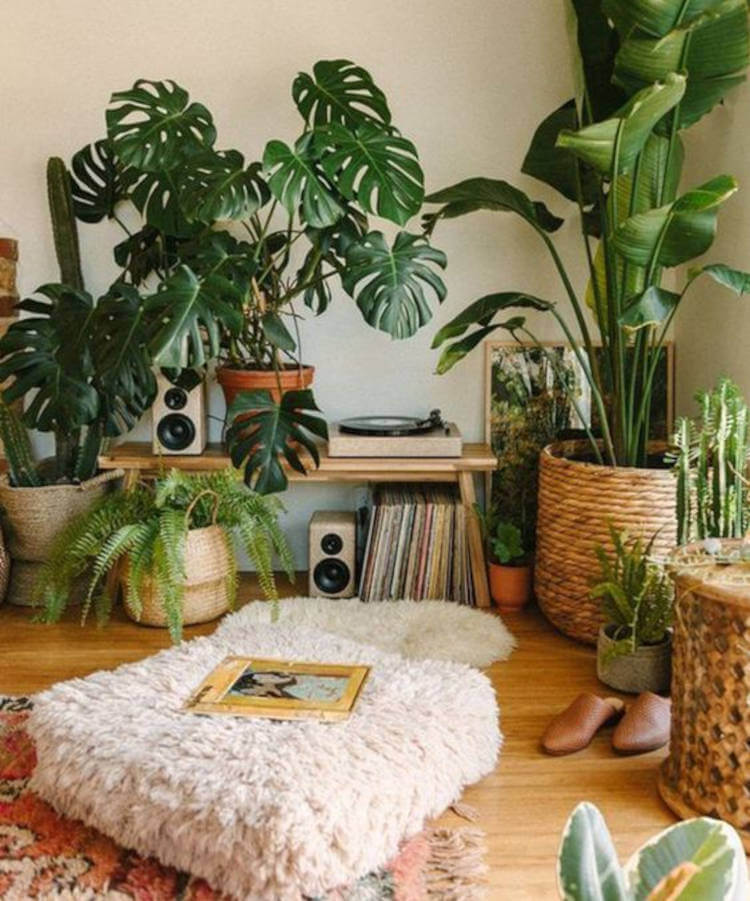 Zen space with plants and books.