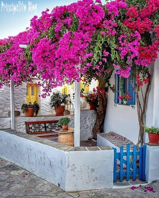 Beachy decoration with flowers.