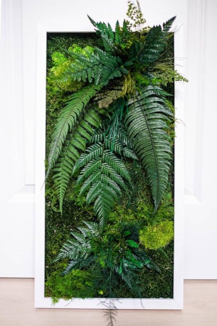 Vertical frame with preserved plants.