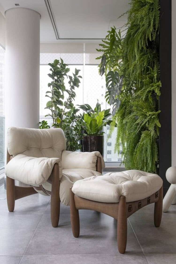 Balcony with glass walls and preserved plant.