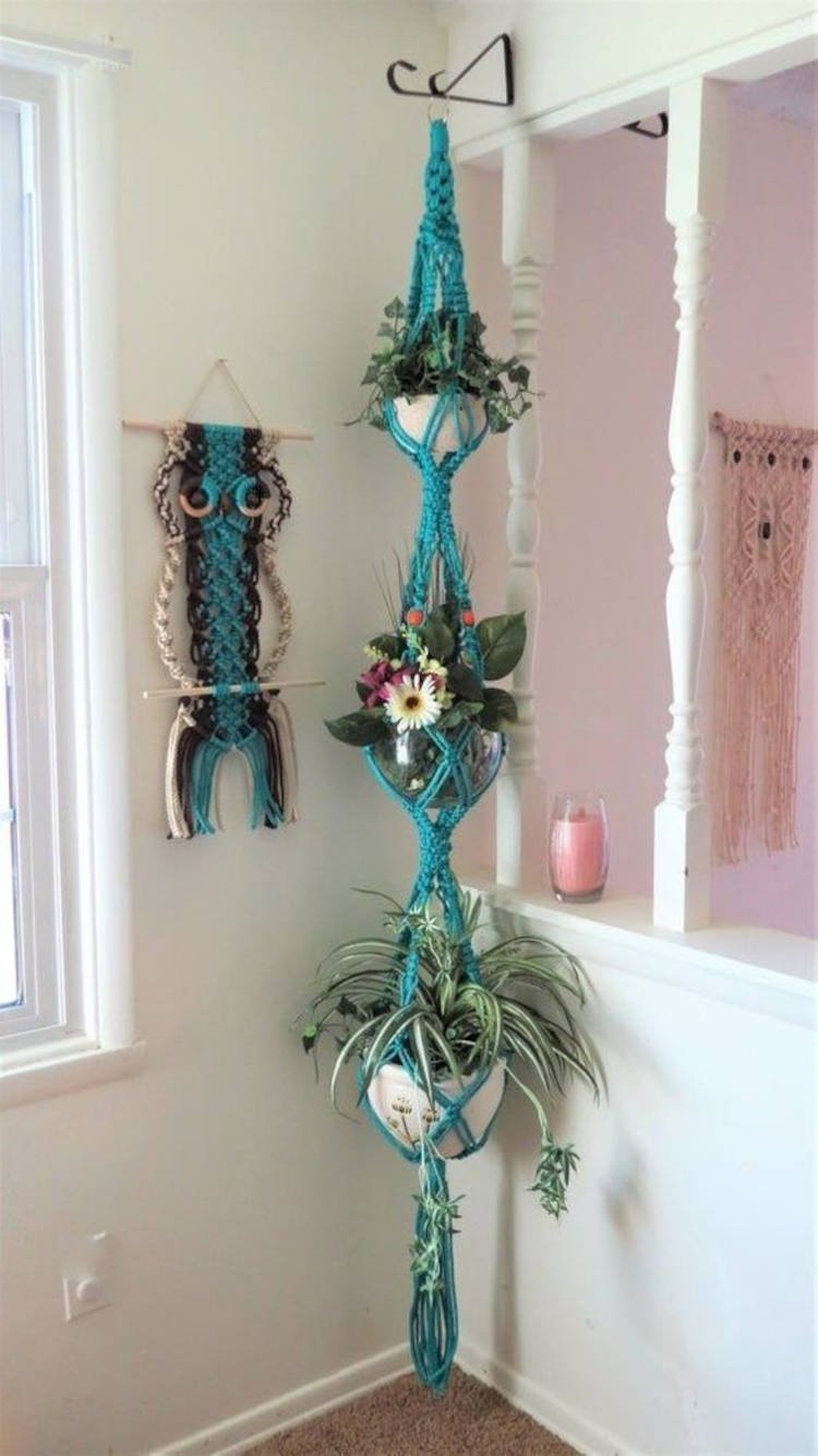 Macramé para planta con varias plantas.