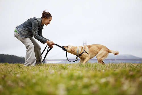 Woman and a dog