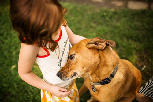 Girl and a puppy