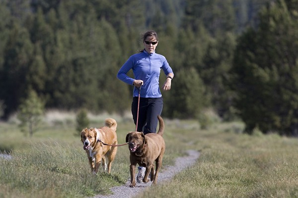 physical activity with dogs