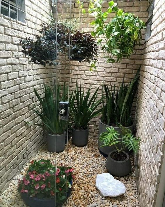 Plants on the floor and suspended.