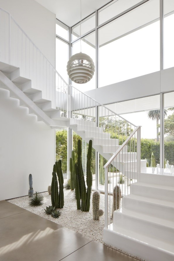 Winter garden under the white stairs.