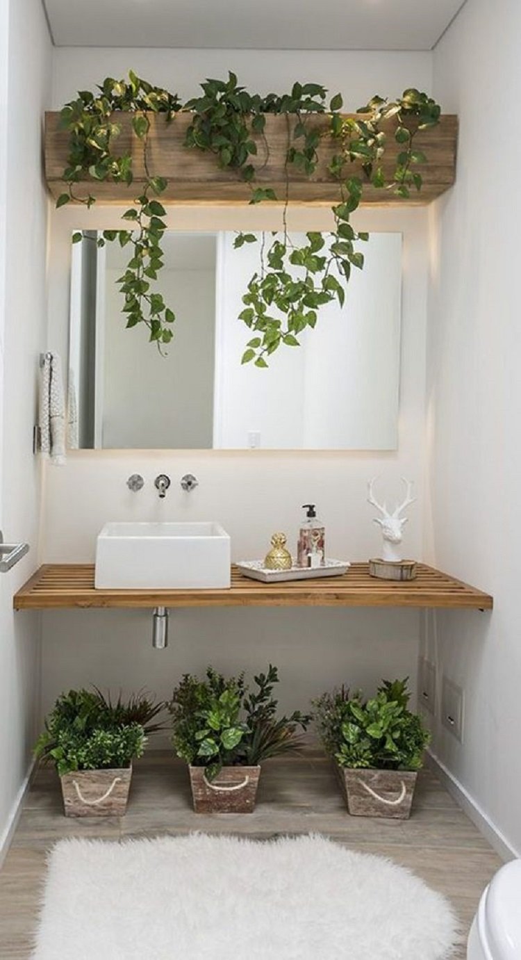 Plants on shelves and on the floor.