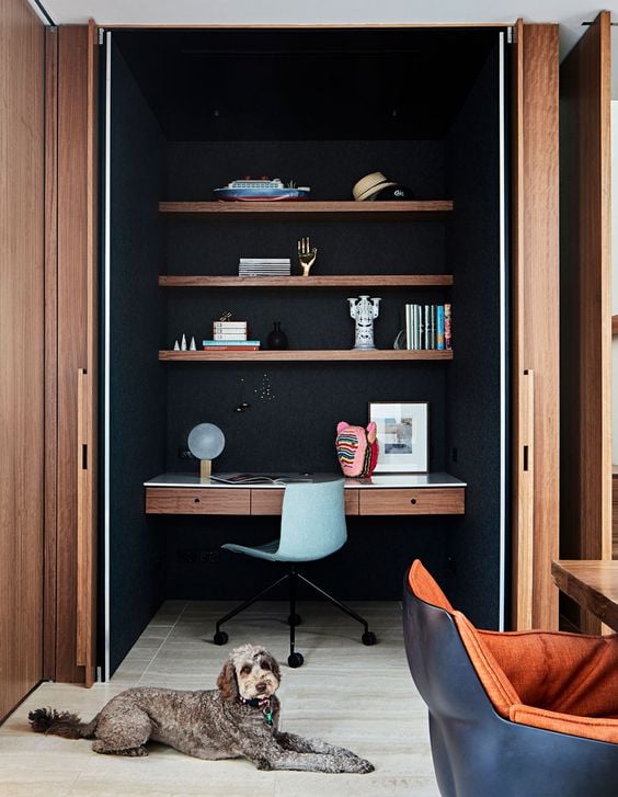 Accordion door with dog.