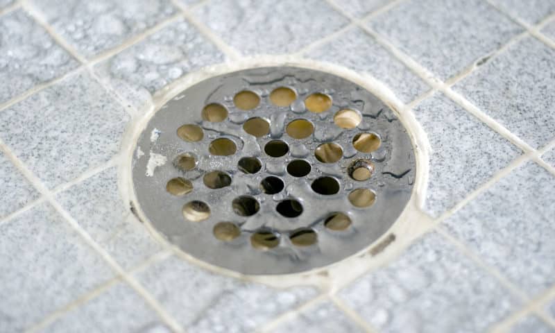 Bad smell in the drain - Causes, how to eliminate and prevent + homemade recipe