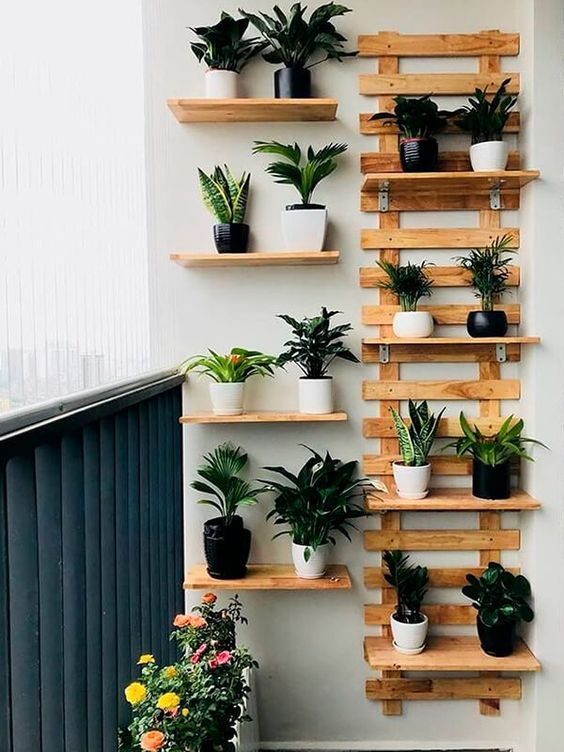 Garden with shelves.