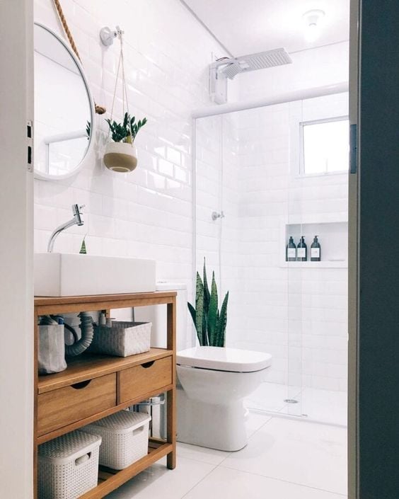 Bathroom decorated with plants