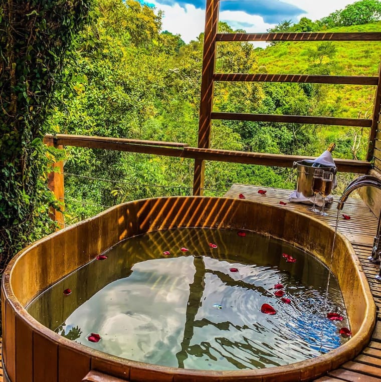 Bathtub overlooking the forest