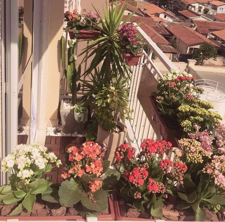 Balcony with garden