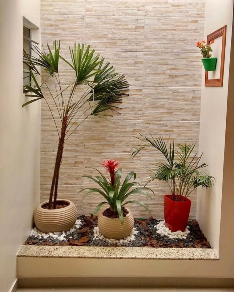 Three potted plants