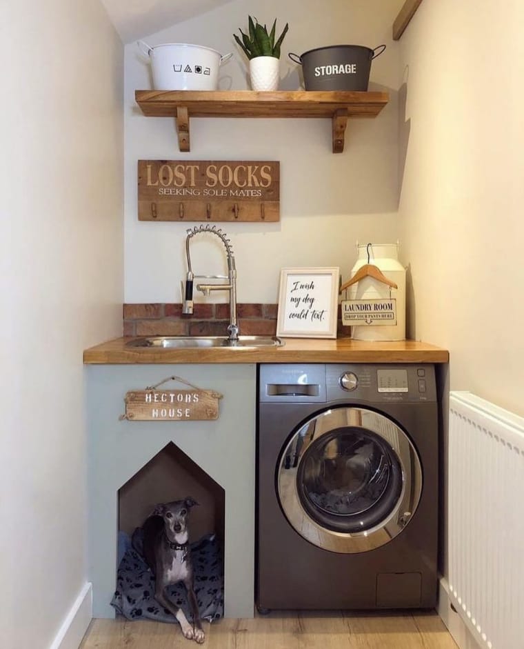 Laundry room and dog room