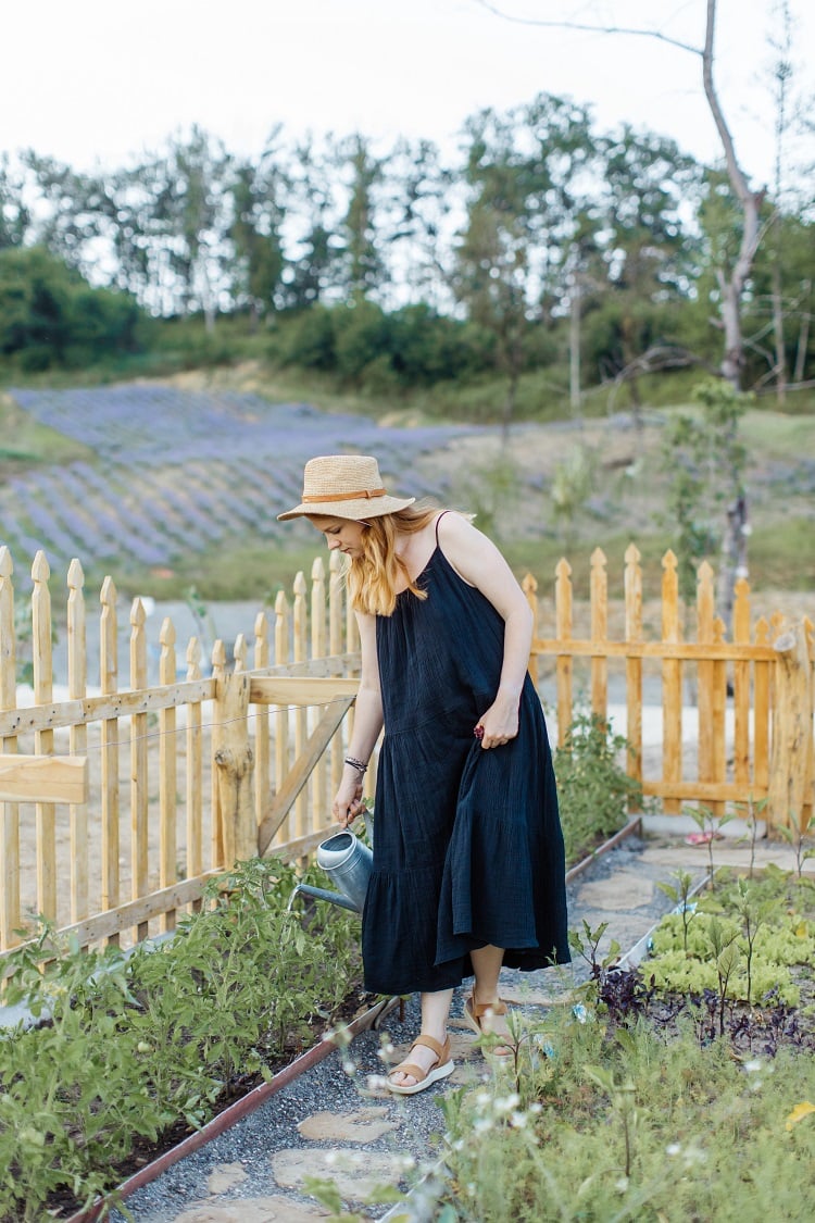 woman watering vegetable garden