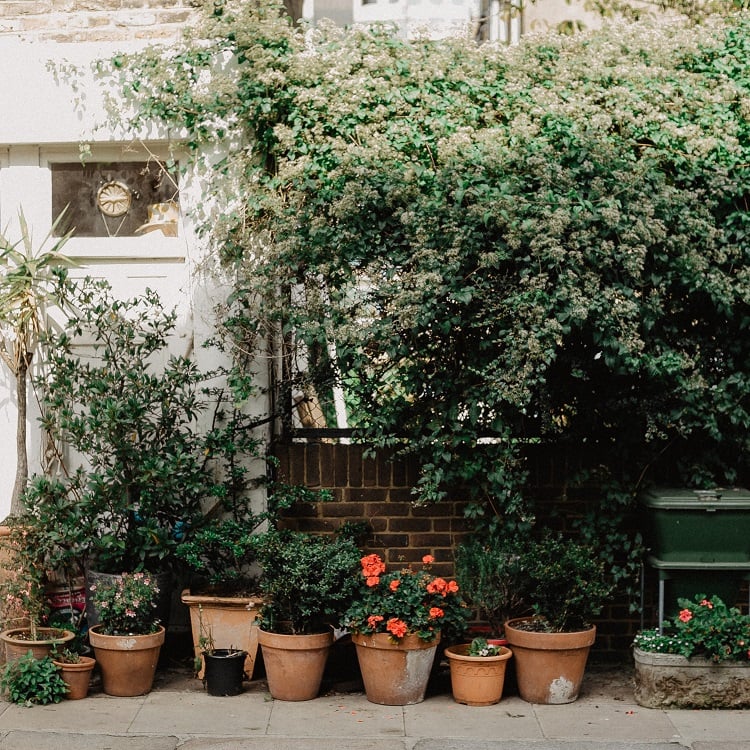 garden with clay pots