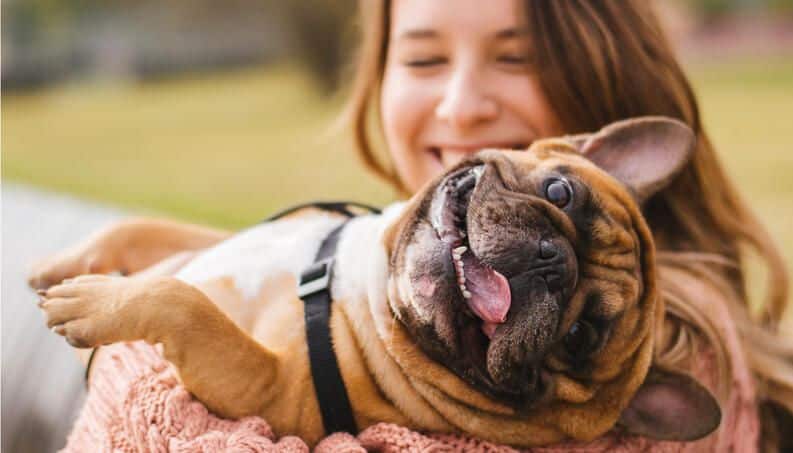 Mãe de cachorro também é mãe - Dicas de como cuidar bem do seu pet