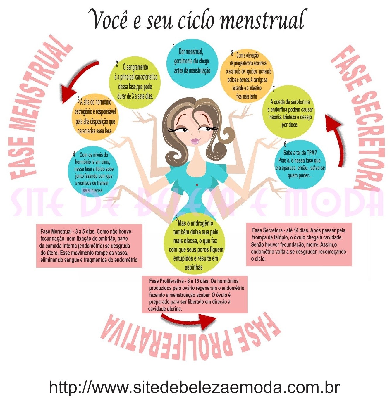 Infográfico para entender as três fases do ciclo menstrual