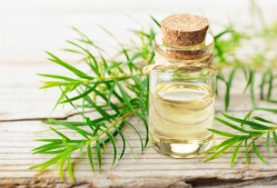 Tea tree oil, what is it?  What is it for and the main benefits