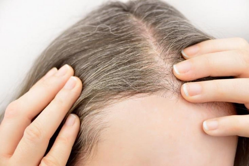 Retoque de raíces – Cómo retocar tu cabello en casa