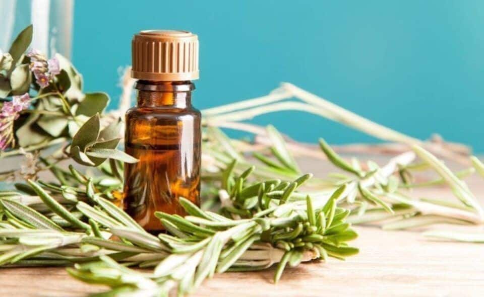 detangling hair rosemary oil