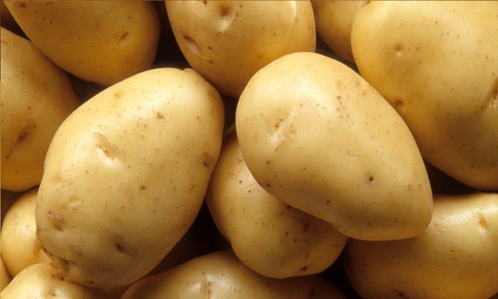 Potatoes, how to make them?  Recipe tips and health benefits