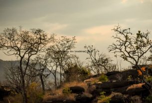 Chapada dos Veadeiros, Goiás é um dos Lugares para viajar em julho 2024