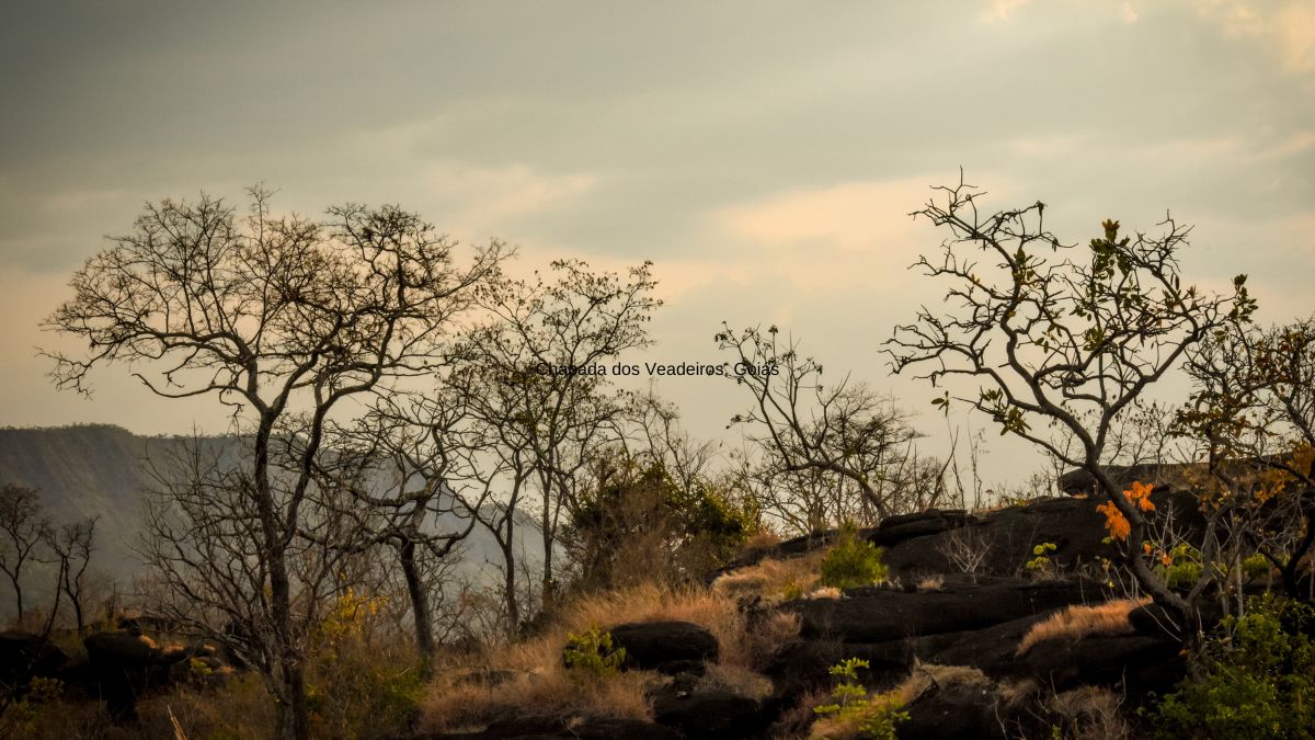 Chapada dos Veadeiros, Goiás é um dos Lugares para viajar em julho 2024