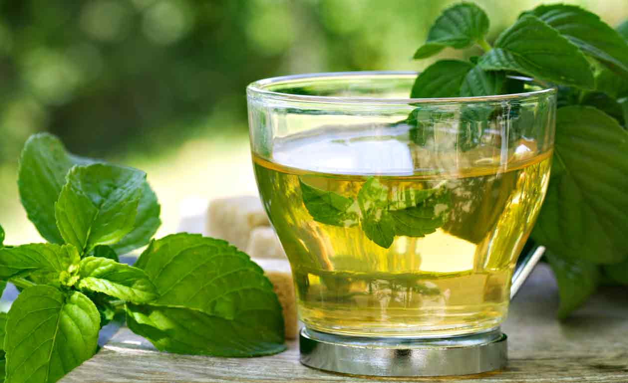 Boldo tea, what is it?  Benefits, how to do it and contraindications