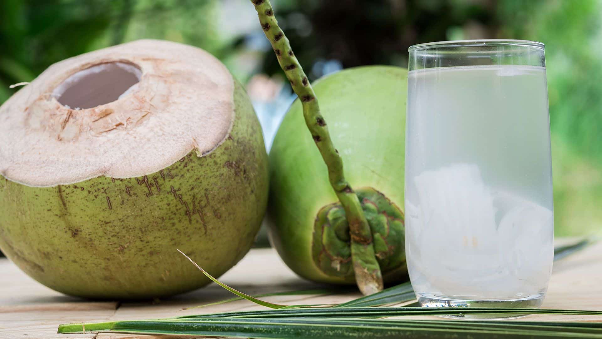 Coconut water - Discover the various benefits of the liquid for your health