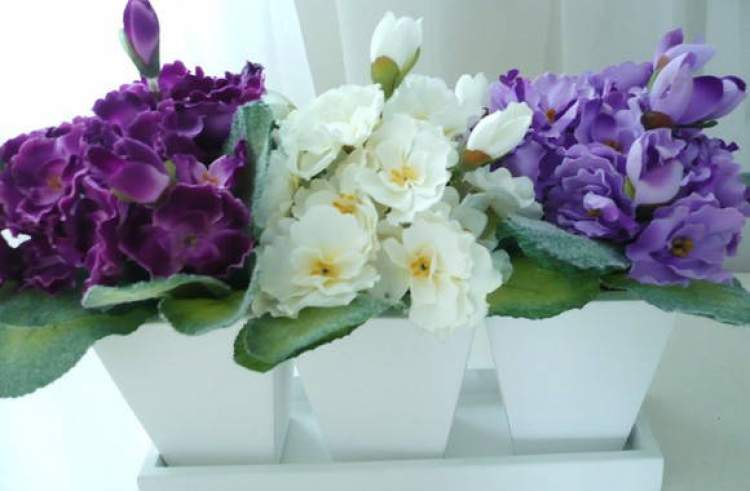 Violet is one of the plants to decorate the apartment with great elegance and good taste