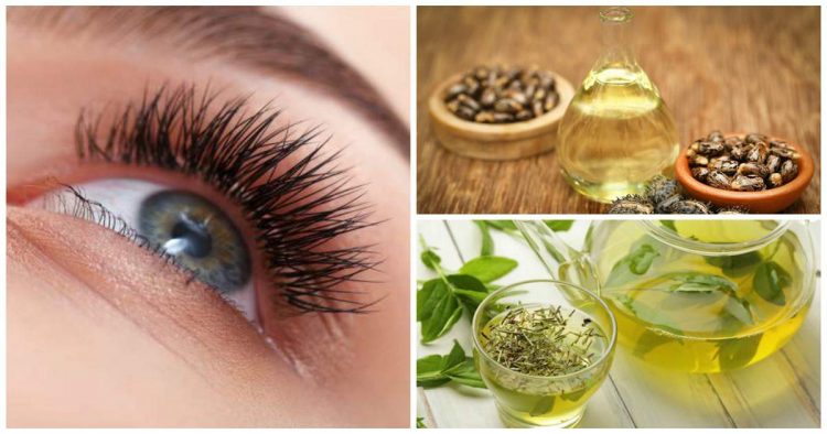 Natural treatments to increase eyelash size