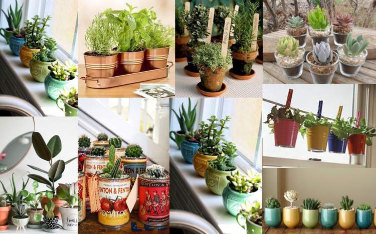 7 Creative Ways to Make Colorful Vases for Your Plants and Flowers