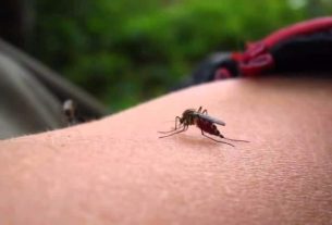 7 reasons why mosquitoes only bite you