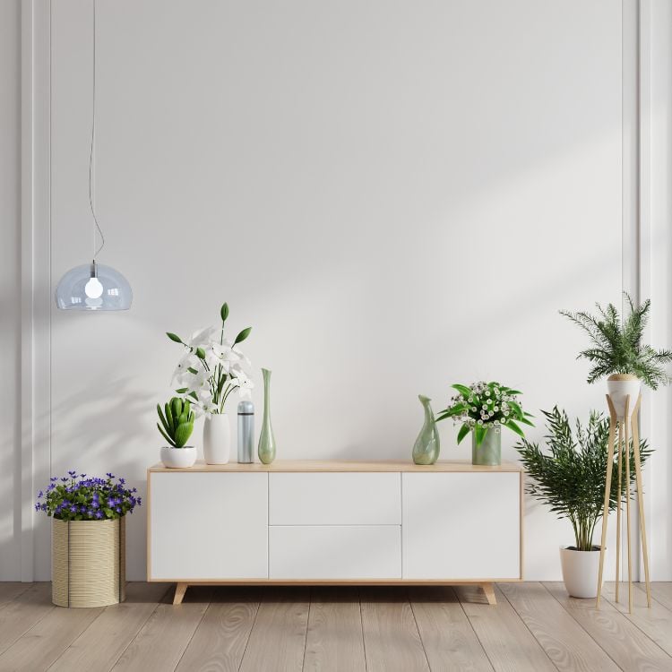 White wall with white sideboard with doors and various decorative plants