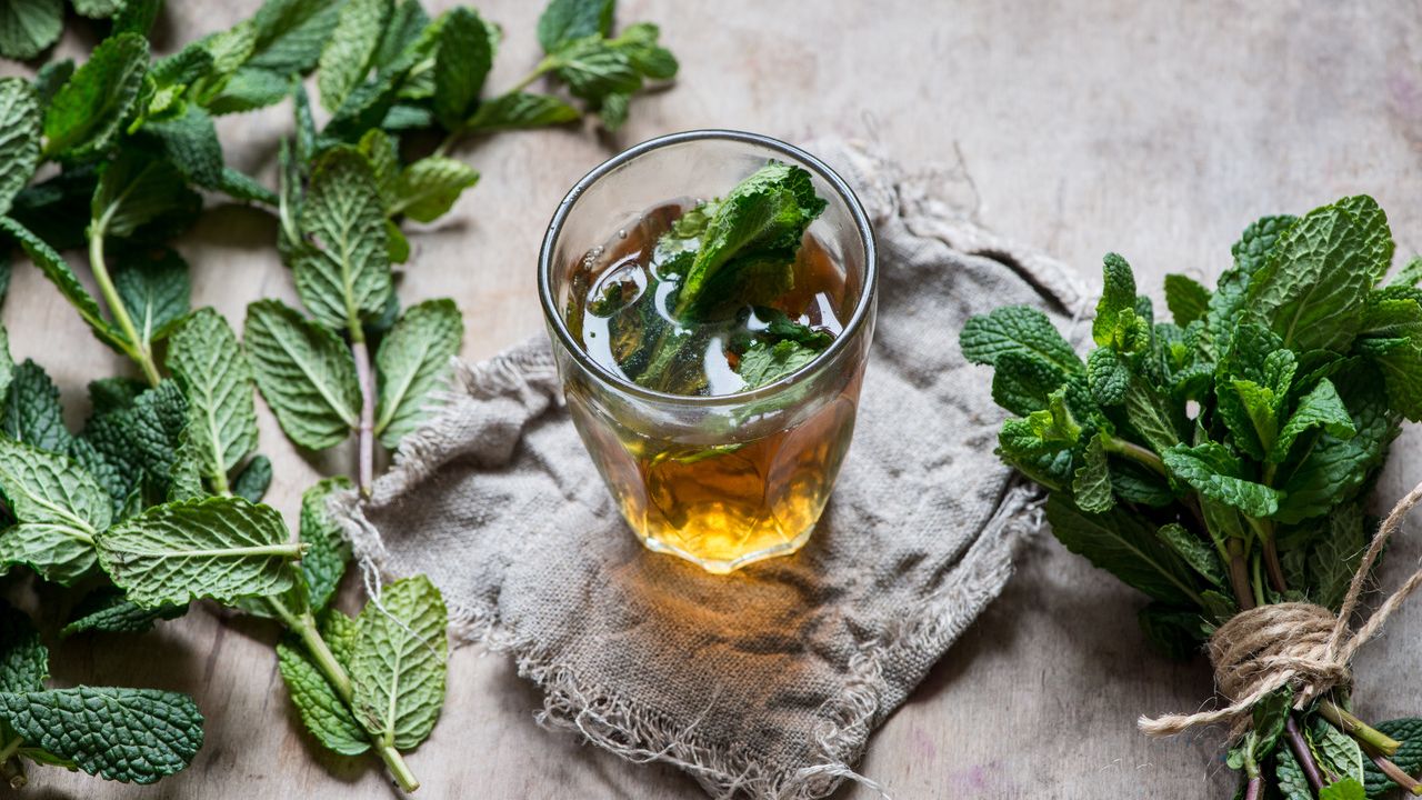 Benefits of mint tea and 7 best recipes