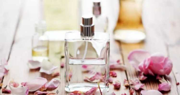 Best-Selling Imported Perfumes in 2020: Top 11 Fragrances