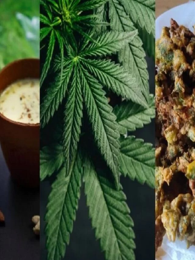 Bhang Recipes For Holi 2023: Thandai To Gujiya, 10 Recipes You Must Try