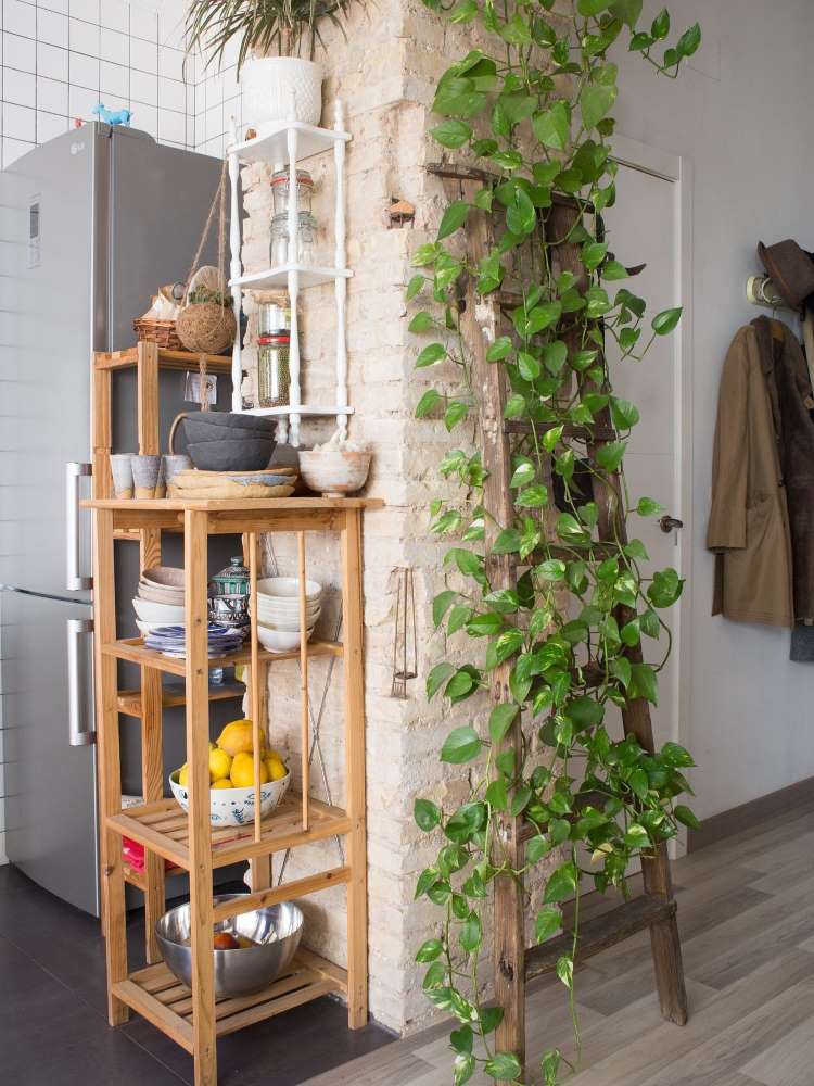 Staircase with hanging boa constrictor, next to a shelf with kitchen utensils and refrigerator