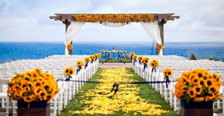 Las margaritas son una gran opción para bodas en la playa