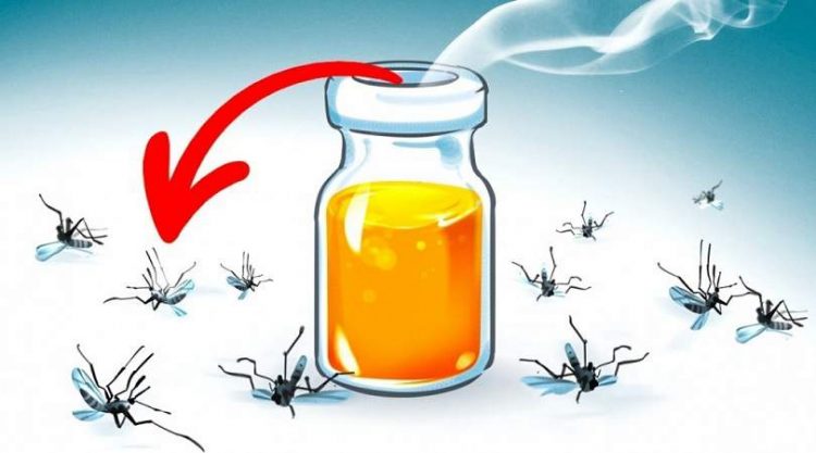 scents that scare away mosquitoes