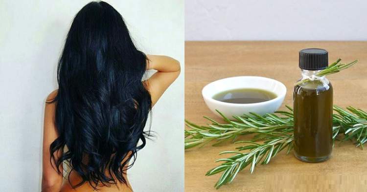 Find out how to use rosemary in your hair to eliminate hair loss, add shine and eliminate split ends